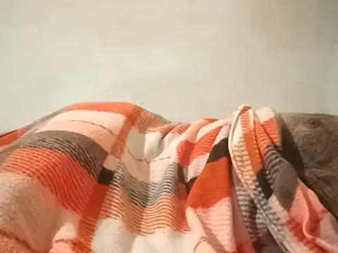 MoonlessSurgery's cam snapshot