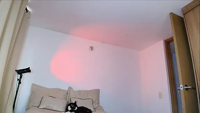 SARA_TS_FOX live sex cam