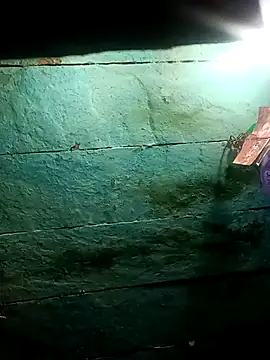 Desi_Couple_P's cam snapshot