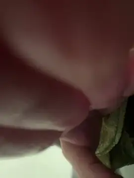 Cloew_Marz's cam snapshot