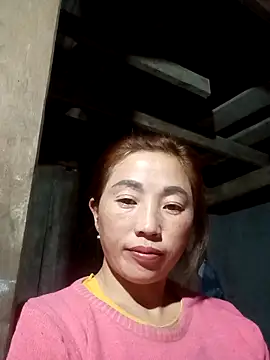 seacyre's cam snapshot