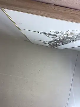 Ada_Pink's cam snapshot