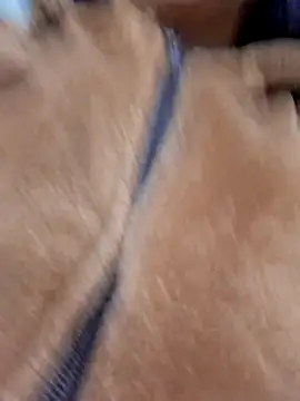 amanne_misa's cam snapshot