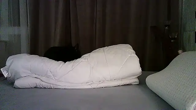 gojgoj's cam snapshot