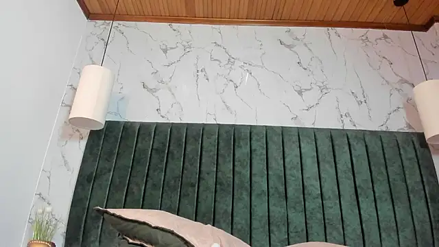 Zackfalcon_'s cam snapshot