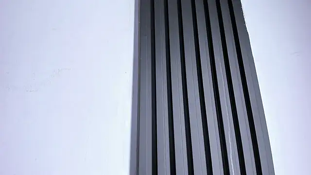 Cupeer-1's cam snapshot