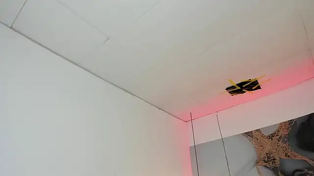 ReneePaz live sex cam