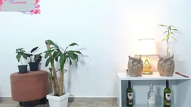 jhuan_cute live sex cam