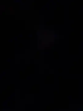 Susi_und_Strolch's cam snapshot