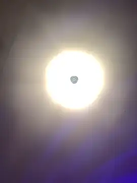 SusieSquirts's cam snapshot