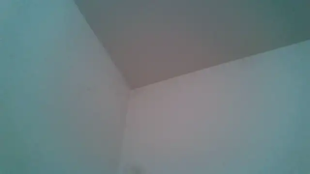 BaaileyZelda's cam snapshot