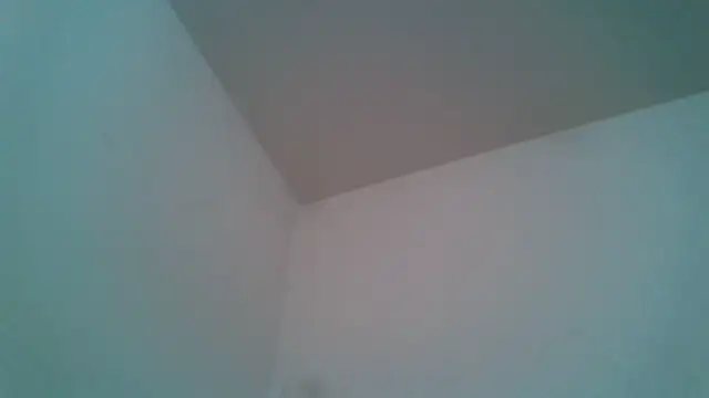 BaaileyZelda's cam snapshot