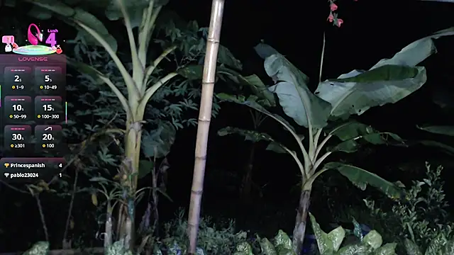 esmeralda_li's cam snapshot