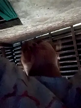 Mini66666's cam snapshot