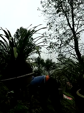 nelina_12345's cam snapshot