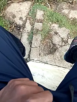 dolphiinn's cam snapshot