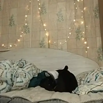 Tupo070481's cam snapshot