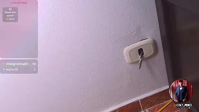 Colt_Perci live sex cam