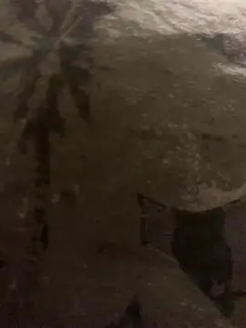 Camlechera1995's cam snapshot