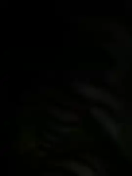 meekpatidar live sex cam