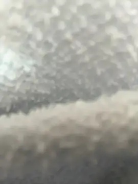 IamSteph13's cam snapshot