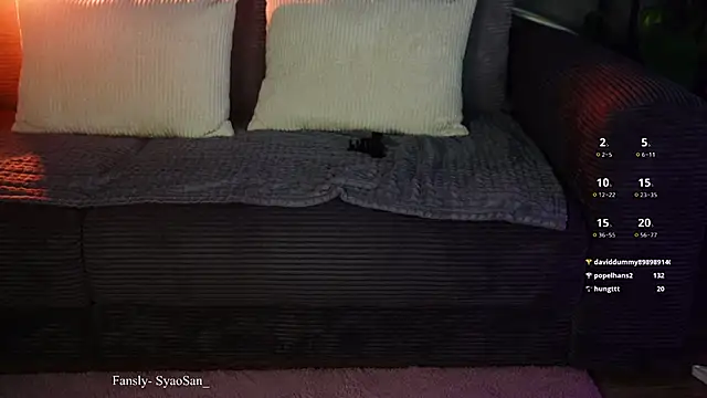 Arlitik's cam snapshot