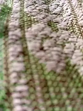 Horny-boyyy live sex cam