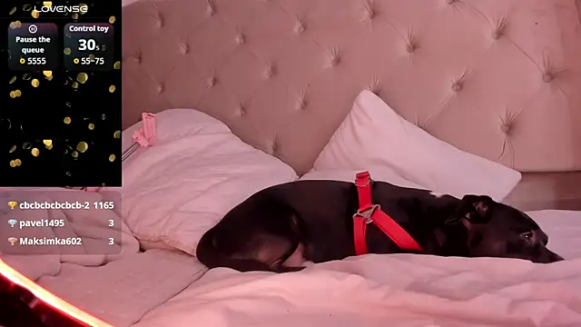 realdirtylatin's cam snapshot