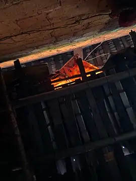 dudubaobao's cam snapshot