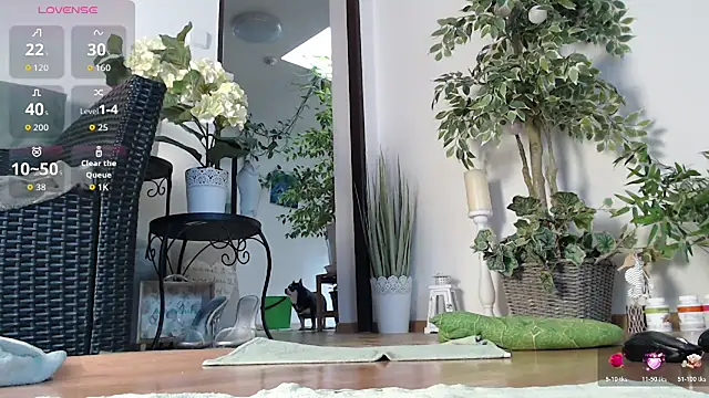 Squirtmania's cam snapshot