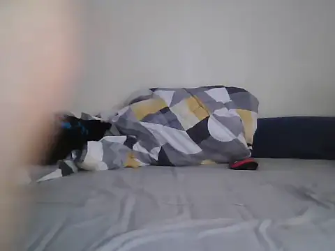 a5ar5rooooov live sex cam