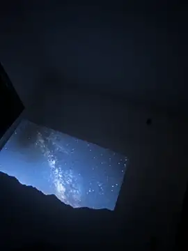 LontraAndBear's cam snapshot