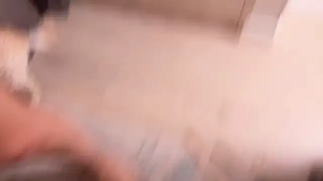 dearMary live sex cam