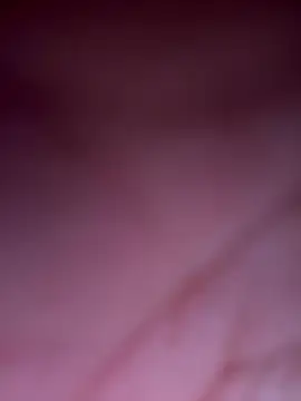 justinahallo's cam snapshot