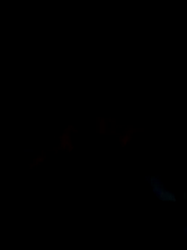 loyalboy_0052 live sex cam