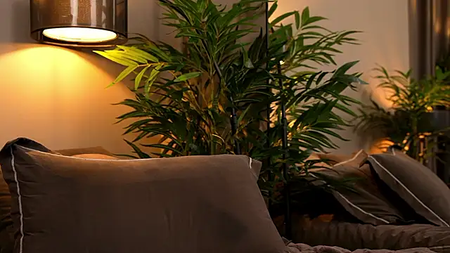 _keeti_'s cam snapshot