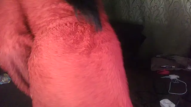 IngaQAce's cam snapshot