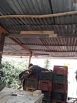 hoteder live sex cam