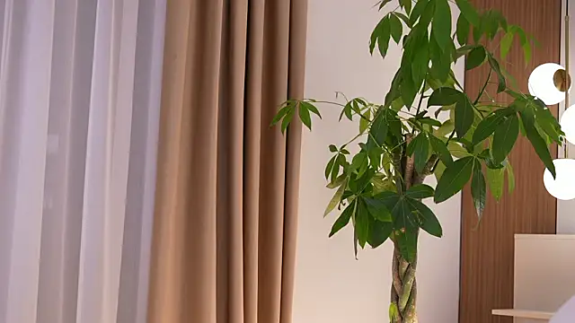 DoviaClaire live sex cam