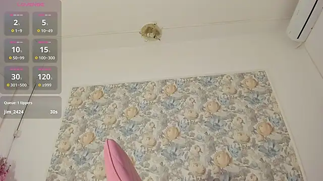 illegal_lorry live sex cam