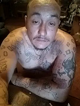 Dick4yourholes live sex cam