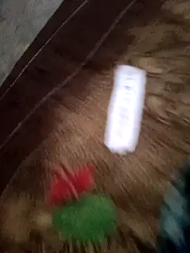 Payal950's cam snapshot