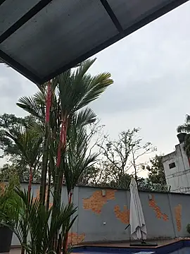 _Yesica_ live sex cam