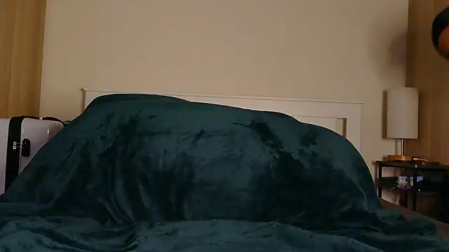 poleheathen's cam snapshot