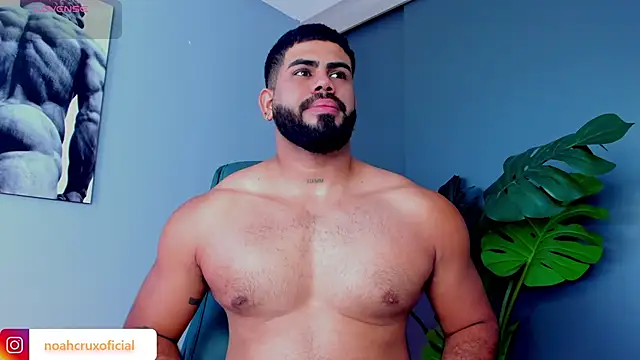 noah_crux live sex cam