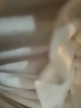 didihairypussy's cam snapshot