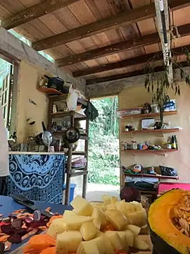 sammoura01's cam snapshot