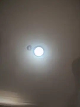 Ninabigtitied live sex cam