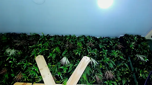 King_N_kathe live sex cam