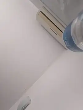 lauflor's cam snapshot